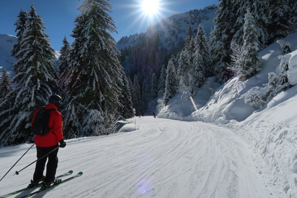 Skifahrer im verschneiten Wald