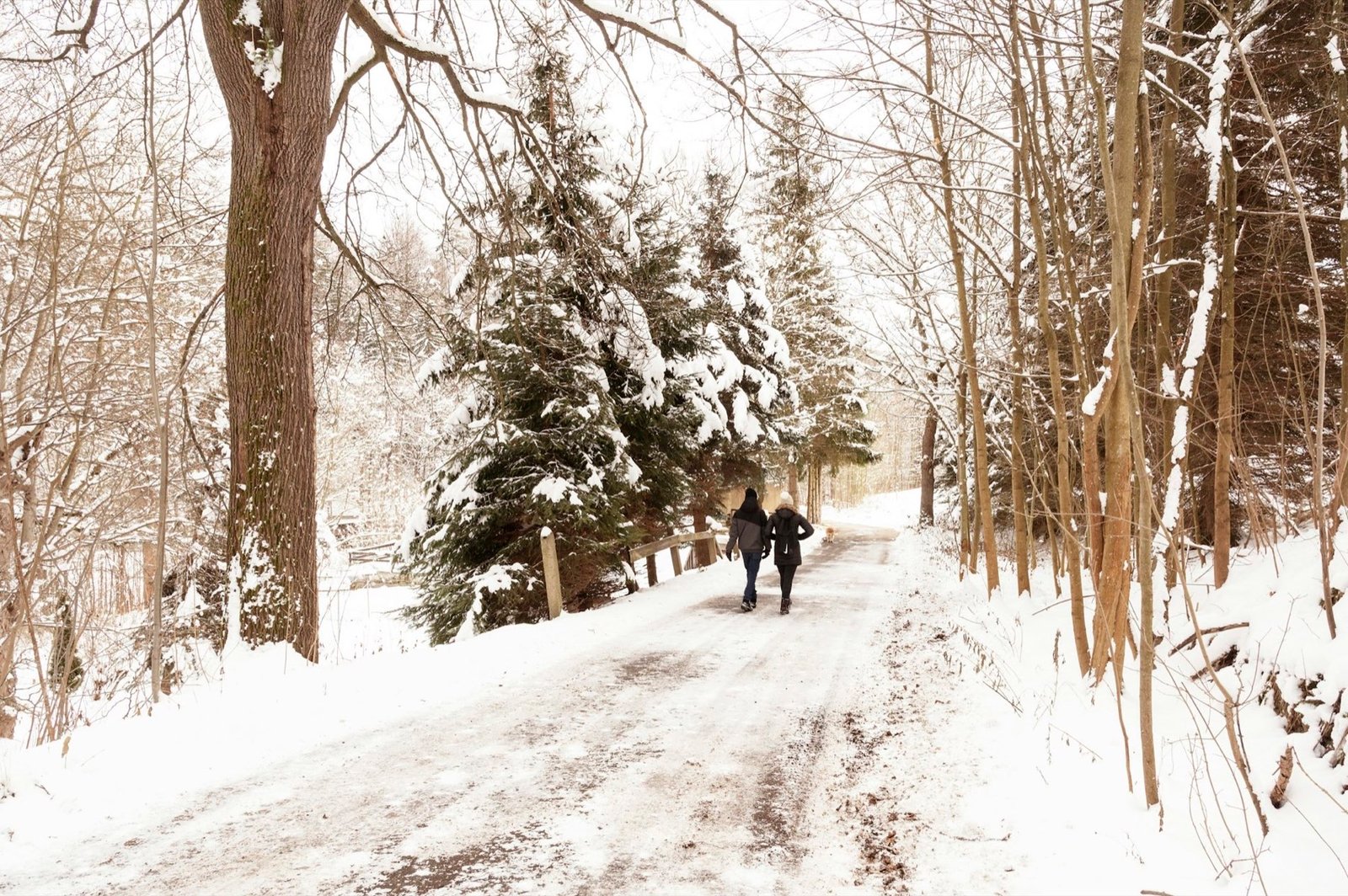 Zwei Personen beim Winterwandern auf einem verschneiten Waldweg